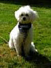 Pict0012.jpg