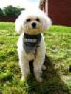 Pict0016.jpg